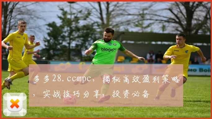 多多28.ccmpc，揭秘高效盈利策略，实战技巧分享，投资必备