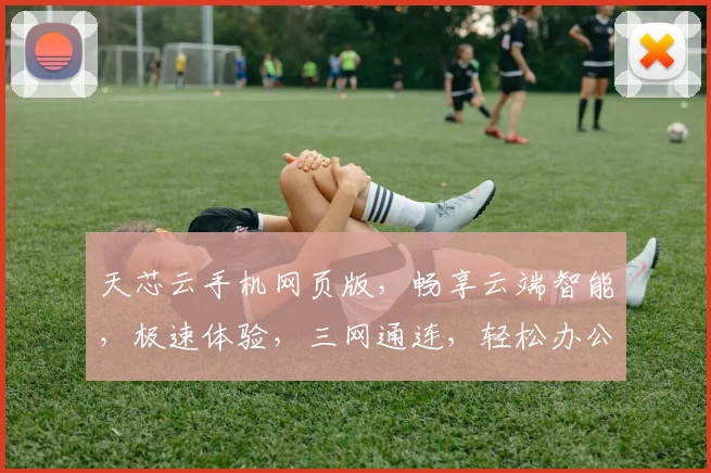 天芯云手机网页版，畅享云端智能，极速体验，三网通连，轻松办公娱乐，智能生活必备
