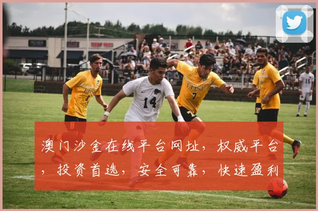 澳门沙金在线平台网址，权威平台，投资首选，安全可靠，快速盈利