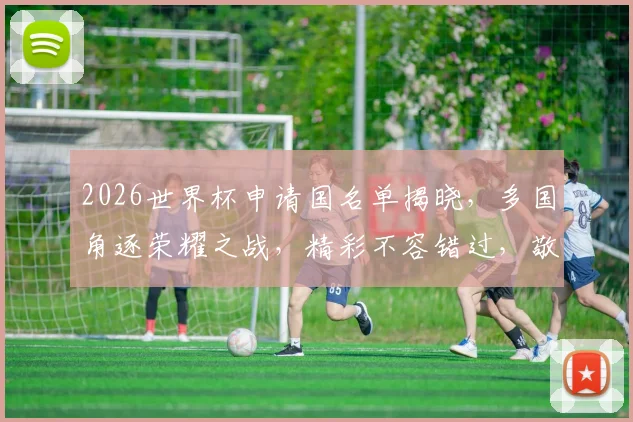 2026世界杯申请国名单揭晓，多国角逐荣耀之战，精彩不容错过，敬请关注